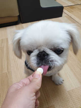 mini unni님이 올린 리뷰 사진 3