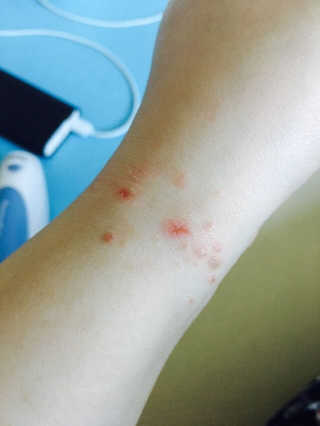 seonahdo님이 올린 리뷰 사진 4