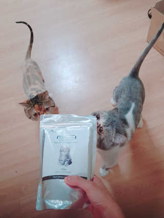엘카몬님이 올린 리뷰 사진 4
