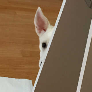 J님이 올린 리뷰 사진 2