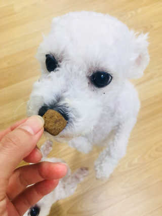 구보리님이 올린 리뷰 사진 2