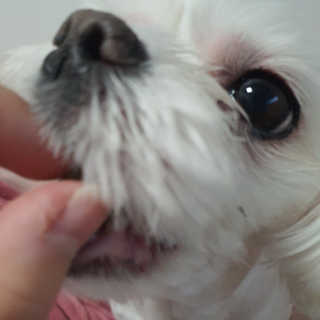 똥지님이 올린 리뷰 사진 3