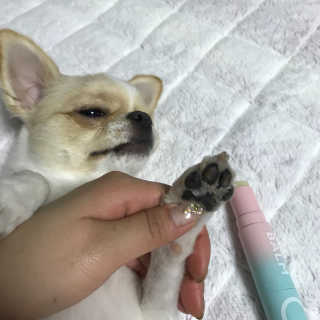 마시밀레 보드레밤 — 5점을 준 리뷰어가 2019년 1월 올린 사용 사진