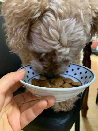 띠옹이님이 올린 리뷰 사진 2