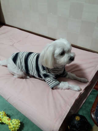 hannahj님이 올린 리뷰 사진 3