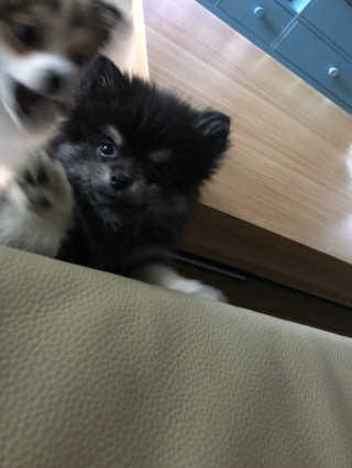 수빈님이 올린 리뷰 사진 2