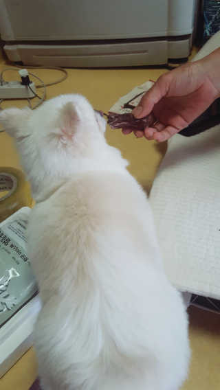 스릉이님이 올린 리뷰 사진 2