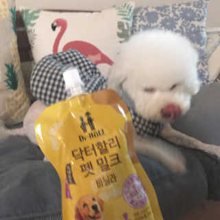 닥터할리펫밀크 8종 — 5점을 준 리뷰어가 2019년 1월 올린 사용 사진