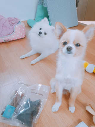 한놔님이 올린 리뷰 사진 2