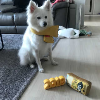 하죠이님이 올린 리뷰 사진 1