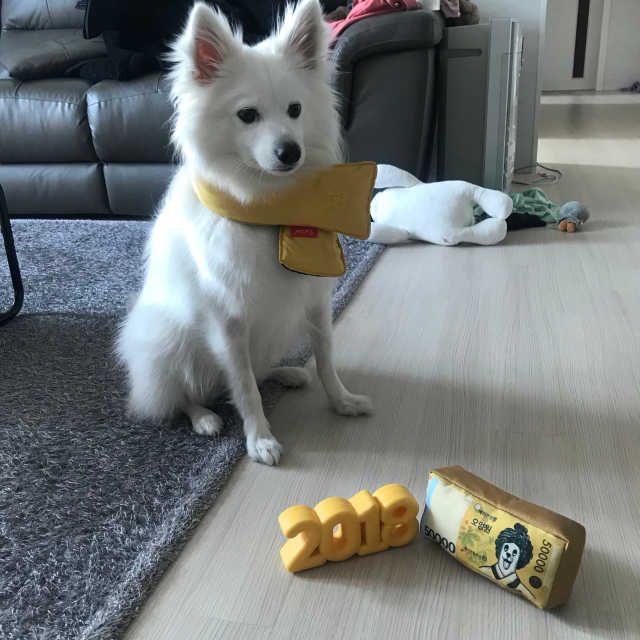 베이컨박스 리뷰 사진