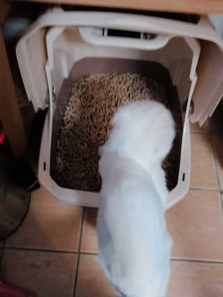 [펫토리아] BEST 한큐뚝딱 고양이 후드형 화장실 — 4.5점을 준 리뷰어가 2019년 1월 올린 사용 사진