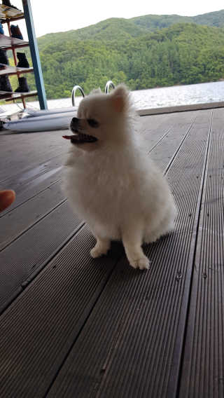 용2님이 올린 리뷰 사진 3