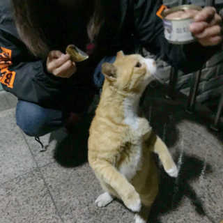 랑이맘님이 올린 리뷰 사진 2