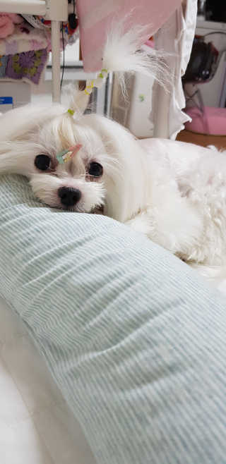 향님이 올린 리뷰 사진 2