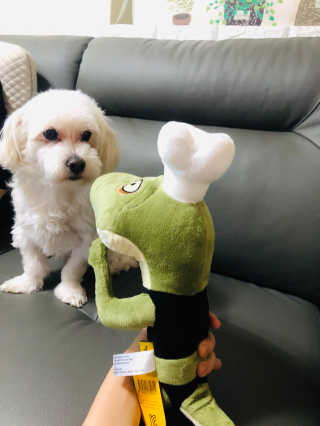 곽현정님이 올린 리뷰 사진 1