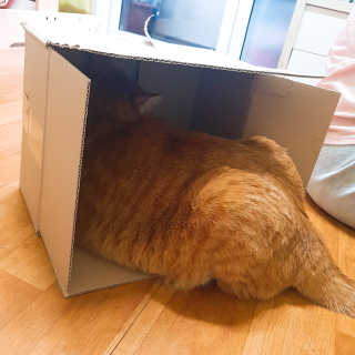 깅지님이 올린 리뷰 사진 3
