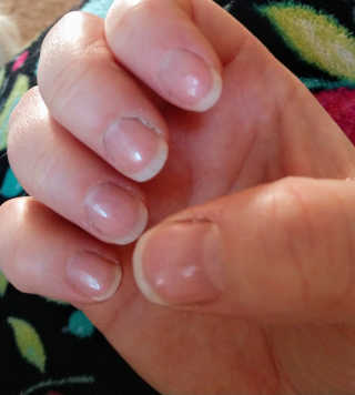 Seiriand님이 올린 리뷰 사진 1