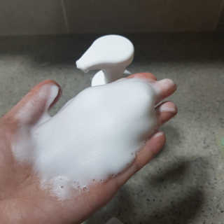 솔테라피 솔티 크리미 클렌징폼 300ml — 2점을 준 리뷰어가 2019년 5월 올린 사용 사진