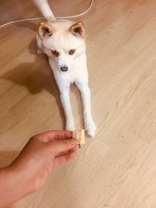 배혤님이 올린 리뷰 사진 4