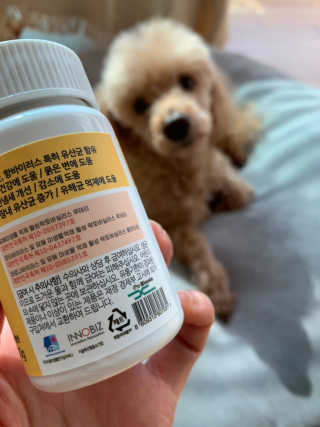 비비안님이 올린 리뷰 사진 2