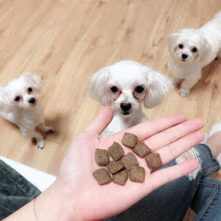 뚱빈공쥬님이 올린 리뷰 사진 3
