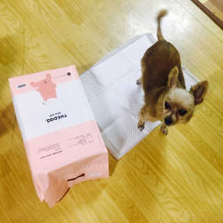 제이슨님이 올린 리뷰 사진 2
