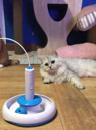fively님이 올린 리뷰 사진 2