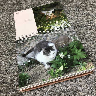 유ㄴ1님이 올린 리뷰 사진 2