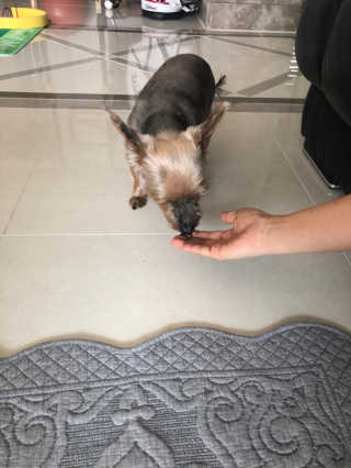 전혜민님이 올린 리뷰 사진 2