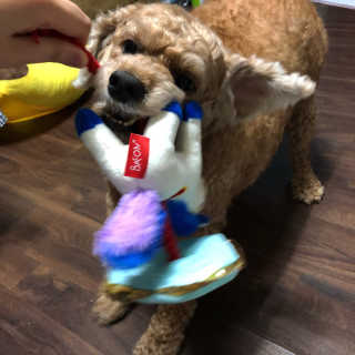 은지짱님이 올린 리뷰 사진 3