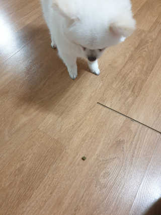 찐이야님이 올린 리뷰 사진 4
