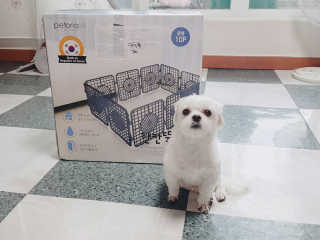 찡님이 올린 리뷰 사진 1