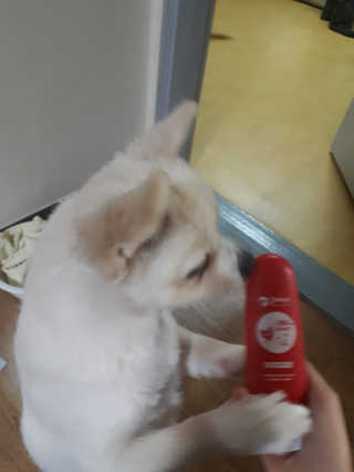 주가영님이 올린 리뷰 사진 3