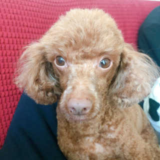 라떼떼님이 올린 리뷰 사진 3