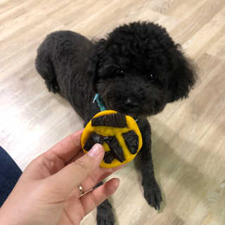 kclabt님이 올린 리뷰 사진 4