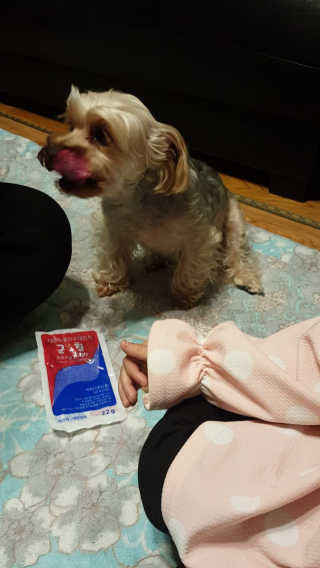 리아님이 올린 리뷰 사진 2