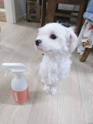 박미진님이 올린 리뷰 사진 3