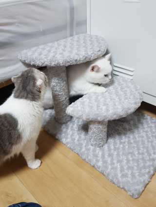 백현지님이 올린 리뷰 사진 2