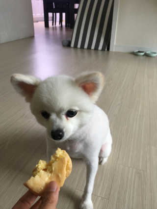 희정님이 올린 리뷰 사진 1