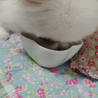현이님이 올린 리뷰 사진 3