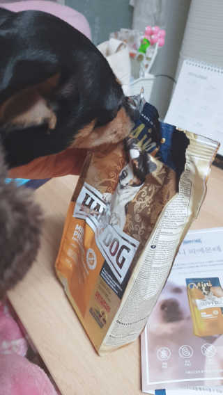 도도님이 올린 리뷰 사진 3