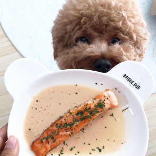 초코님이 올린 리뷰 사진 1