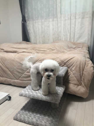 스페이스정님이 올린 리뷰 사진 3
