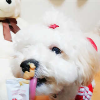 민동2님이 올린 리뷰 사진 1