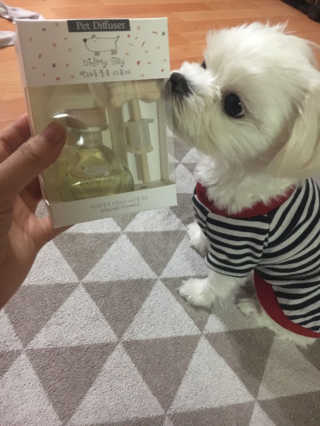 오!마이실리 오마이실리 반려동물 디퓨저 — 5점을 준 리뷰어가 2017년 11월 올린 사용 사진