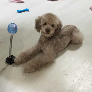 ducko님이 올린 리뷰 사진 3