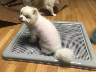 썽츄님이 올린 리뷰 사진 1