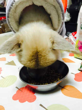 YoonsunJung님이 올린 리뷰 사진 1