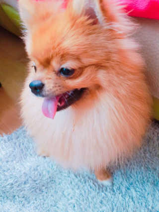 윤님이 올린 리뷰 사진 4